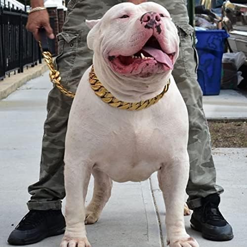 Kıngoldogs 32mm Büyük Köpek Zinciri Yaka + Küba Zincir Bağlantı Köpek Tasma