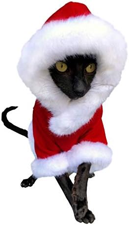 Kotomoda Sphynx Kedinin Kapüşonu Santa Klaus Çıplak Kedi Tüysüz Kedi Kıyafetleri