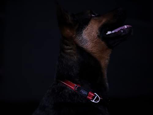 Büyük Köpekler için Yansıtıcı Köpek Tasması, 13-22 inç arasında ayarlanabilir, Kırmızı